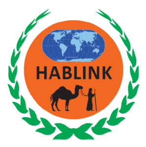 Hablink Services, LLC